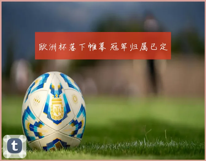 欧洲杯落下帷幕 冠军归属已定